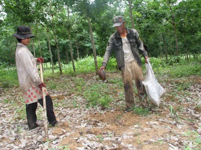 Người dân Lào hưởng lợi từ dự án HAGL