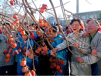 Người dân Triều Tiên đến viếng ông Kim Jong Il