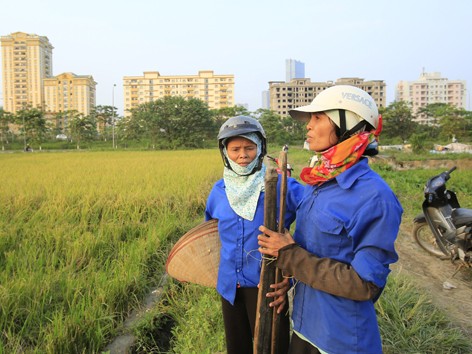 Hà Nội thành lập 2 quận mới: Giá đất có tăng?