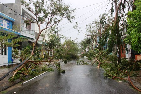 ẢNH từ tâm bão: Đà Nẵng và Quảng Nam oằn mình dưới bão tố