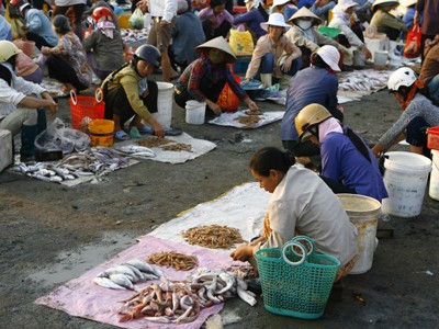 WHO cảnh báo Việt Nam đang phải đương đầu với bệnh lây truyền qua thực phẩm