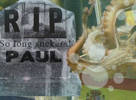 Sự thật về cái chết của bạch tuộc Paul?