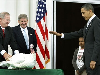 Clip: Tổng thống Mỹ tha chết cho gà tây