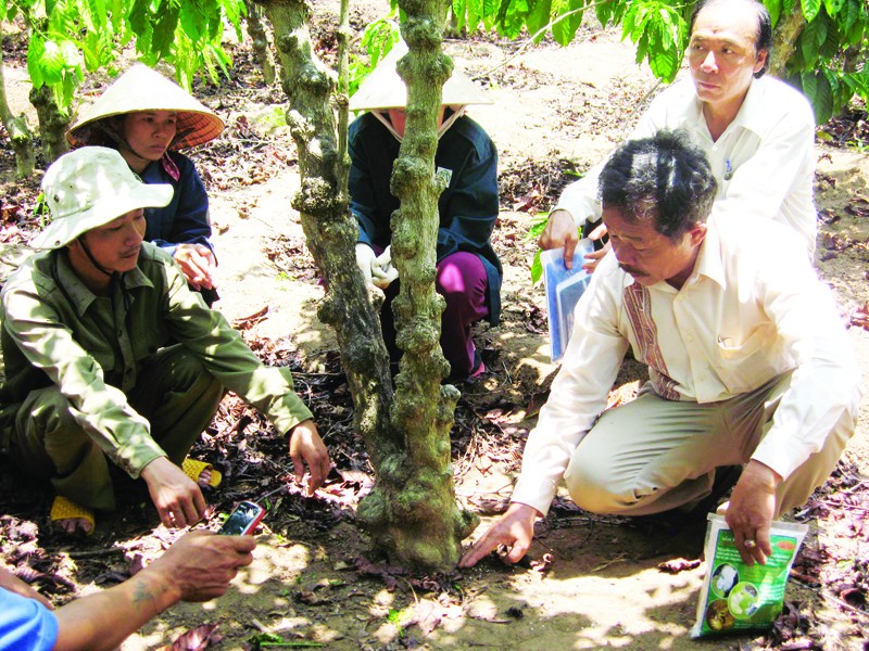 Ông Đoàn Nam Sinh hướng dẫn bà con nông dân sử dụng chế phẩm sinh học của Cty Tam Nông. Ảnh: PV