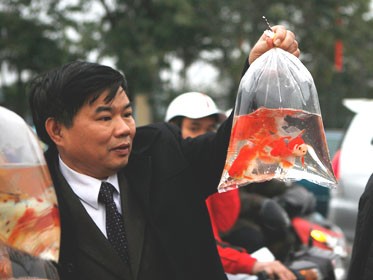 Người dân chọn mua cá trên đường Lê Duẩn, Hà Nội chiều 25-1. Ảnh: Hải Hồ (Tuổi Trẻ)
