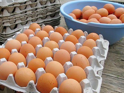 Cách bảo quản trứng được lâu ngày