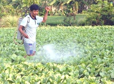 Phòng tránh ngộ độc hóa chất bảo vệ thực vật
