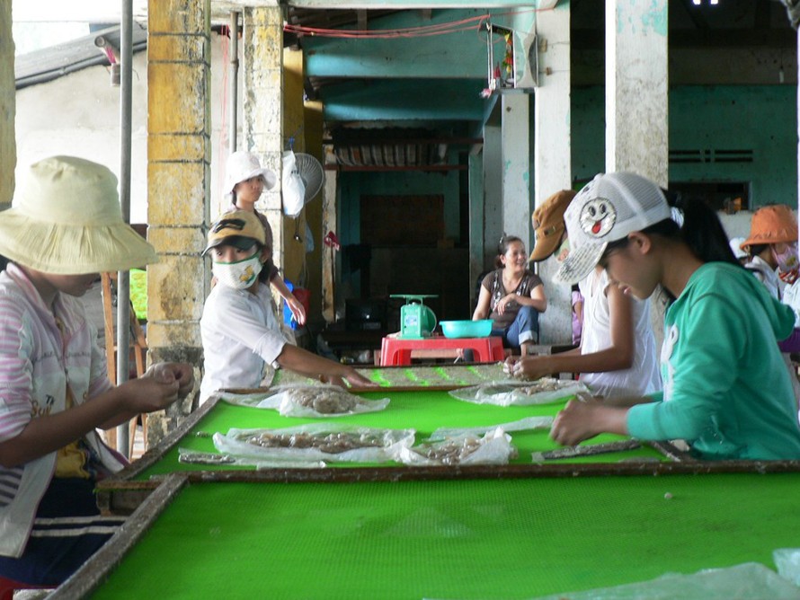 Lao động nhí tại cơ sở chế biến cá bò trong HTX Điện Phước II