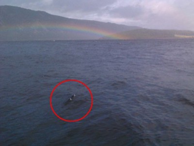 Quái vật hồ Loch Ness lại xuất hiện?