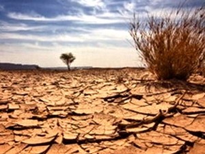 Sa mạc hóa đe dọa gần một tỷ người trên Trái Đất
