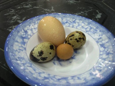 Trứng gà bé nhất thế giới xuất hiện tại Đà Nẵng