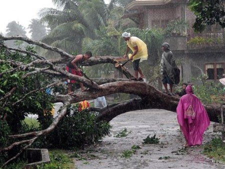 Philippines: Ít nhất 43 người chết do bão Bopha