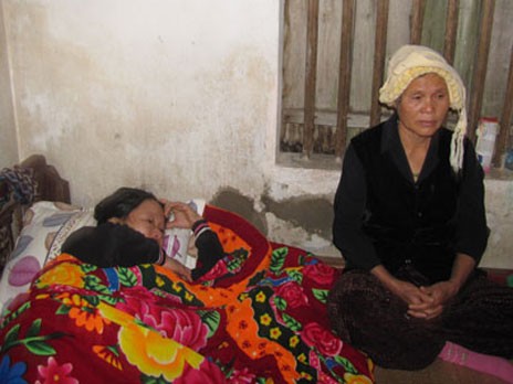 Xe khách rơi xuống vực ở Lào, chín người Việt tử nạn