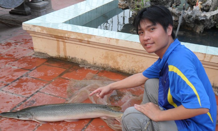 Bắt được cá lạ ở Bắc Giang