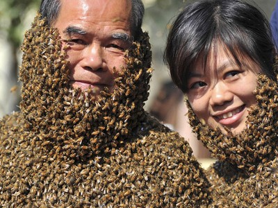 Xem "người ong" biểu diễn