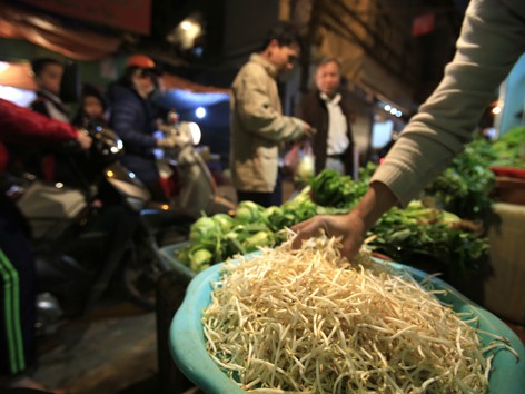Giá đỗ không nguồn gốc tràn lan ở chợ Hà Nội