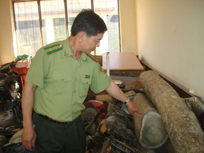 Gỗ đổi màu bị thu giữ tại Hạt kiểm lâm huyện Krông Năng