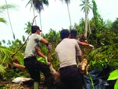 Cảnh sát Indonesia đang chuyển thi thể nạn nhân sóng thần ở làng Muntei Baru Baru trên đảo Mentawai