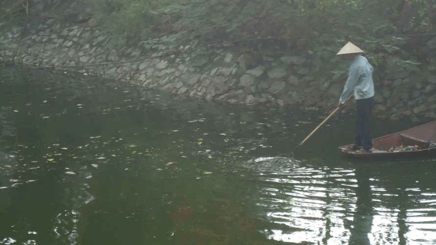 Hồ Thiền Quang bị ô nhiễm làm cá chết hàng loạt