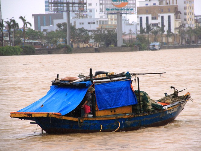 Ngư dân Đà Nẵng lại ra khơi sau bão
