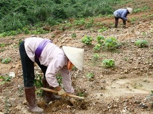 Việt Nam xếp hạng 85 về hiệu quả hoạt động môi trường