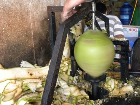 Sáng chế máy gọt vỏ dừa tươi