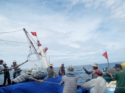 Trung Quốc sẽ bị chất vấn thông tin ‘lục soát tàu bè’ Biển Đông