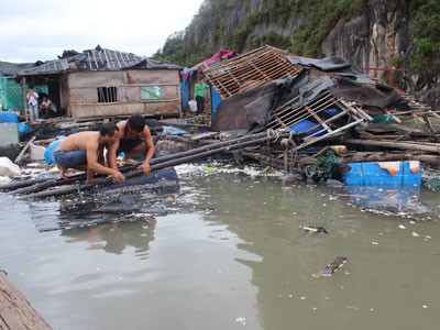 Vân Đồn thiệt hại nặng vì bão Haiyan