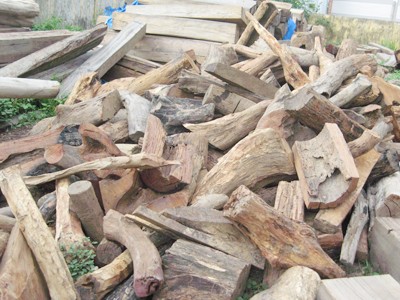 Kon Tum: Sốt gốc rễ gỗ hương