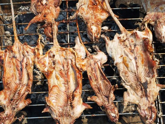 Người Trung Quốc phẫn nộ vụ thịt chuột, thịt chồn giả cừu