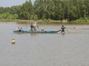 Ảnh chỉ có tính minh họa. Ảnh: Thanh Vũ(TTXVN)