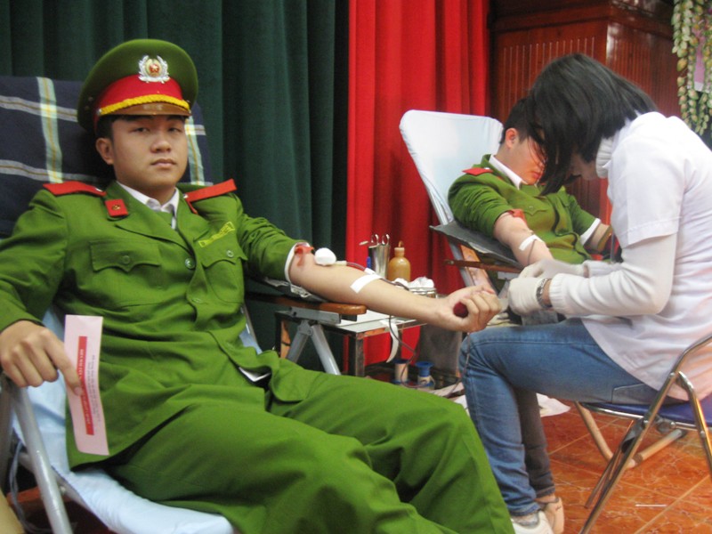 ĐVTN hiến gần 600 đơn vị máu