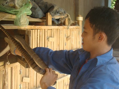 Anh em Thuận, Lợi vui với giun, ếch, rắn và nai