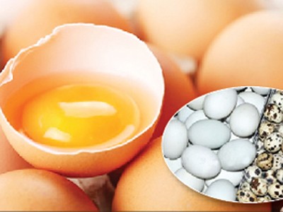 Ăn trứng nào tốt cho sức khỏe?