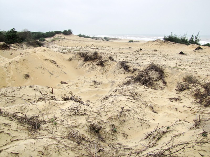 Bờ cát, rừng cây ven vịnh biển Lăng Cô bị lật tung, cày xới để làm đất san lấp trái phép. Ảnh: Ngọc Văn