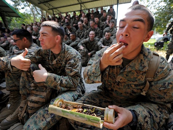Lính Mỹ luyện uống máu rắn, ăn côn trùng