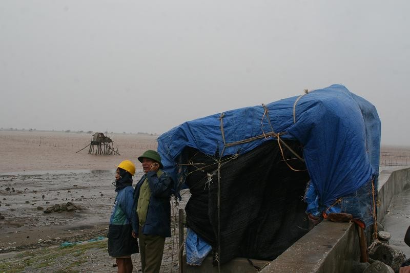 Nam Định: 5 người dân được cứu trên biển