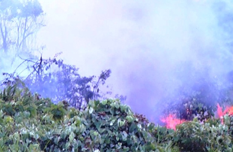 Lại cháy lớn ở rừng Nam Hải Vân. Ảnh: Nguyễn Huy
