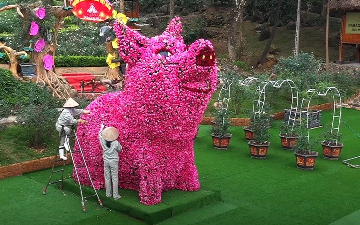 Chú lợn kết từ 10.000 bông hồng xác lập kỷ lục lớn nhất Việt Nam