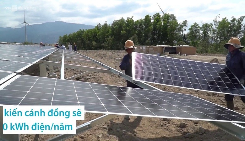 Cánh đồng điện mặt trời lớn nhất Việt Nam sắp hoạt động