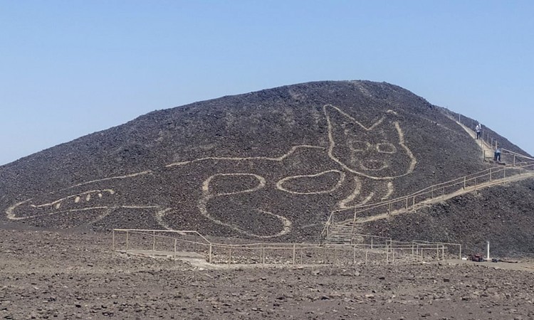 Hình vẽ mèo khổng lồ 2.000 năm tuổi giữa sa mạc