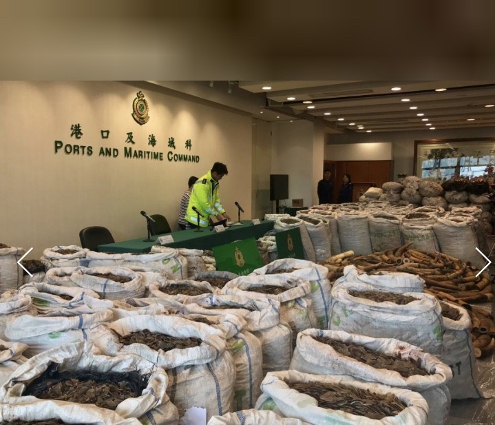 Hong Kong phát hiện lượng vảy tê tê hàng trăm tỷ đồng trên đường về Việt Nam