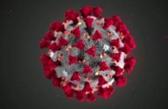 Mỹ có thể đã biết từ rất sớm về nguy cơ xảy ra đại dịch virus corona