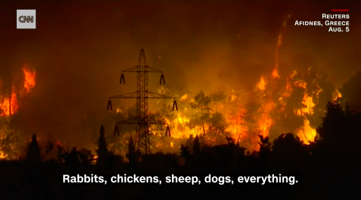 Có đến 586 vụ cháy rừng xảy ra ở Hy Lạp trong mấy ngày qua. (Ảnh: Reuters)