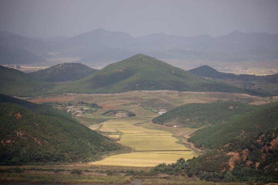 Cánh đồng lúa ở làng Kaepoong nhìn từ đài quan sát phía Hàn Quốc. (Ảnh: Reuters)