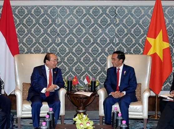 Thủ tướng Nguyễn Xuân Phúc và Tổng thống Indonesia Joko Widodo trong cuộc gặp ngày 26/1. (Ảnh: VGP)