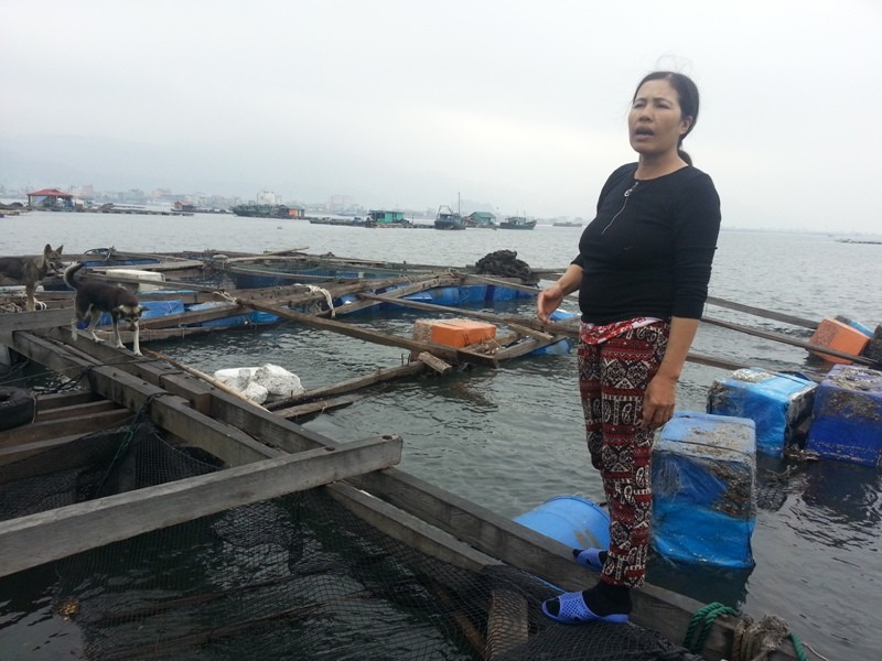 Chị Ngô Thị Hằng bên những bè nuôi cá bán dịp Tết giờ chống trơn.