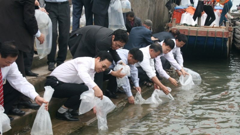 Ông Đặng Huy Hậu, Phó Chủ tịch UBND tỉnh Quảng Ninh cùng các đại biểu thả những mẻ tôm, cái giống đầu tiên.