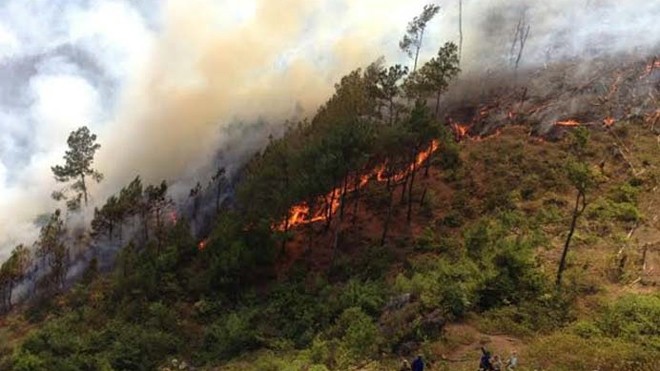 Nắng gắt gây ra 14 vụ cháy rừng liên tục.