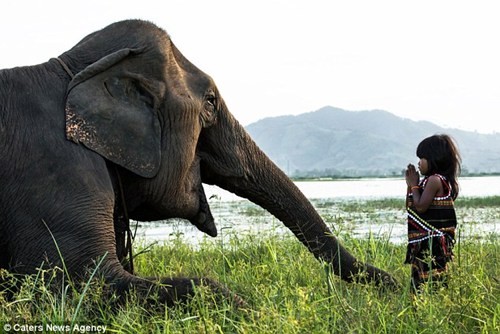 Bé Kim Luân chơi với con voi cưng của mình.